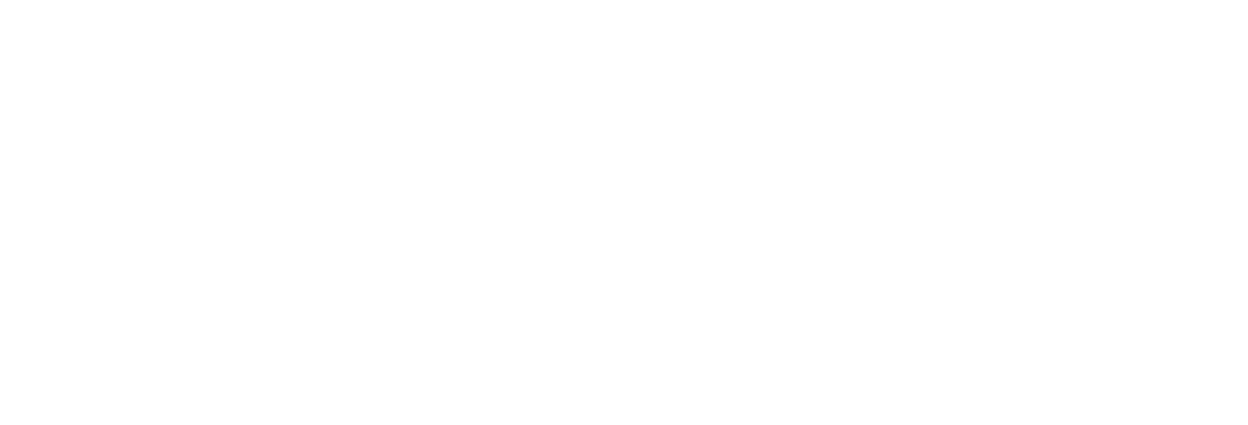 Stûv logo