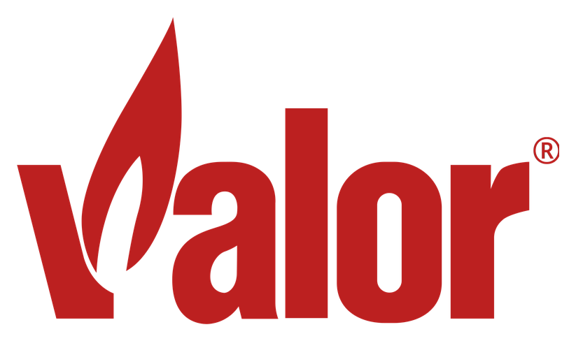 Valor logo